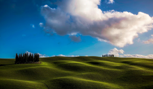 Cipressi di San Quirico d'Orcia