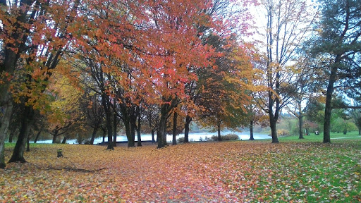 Trout Lake Beach