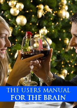 The Users Manual For The Brain