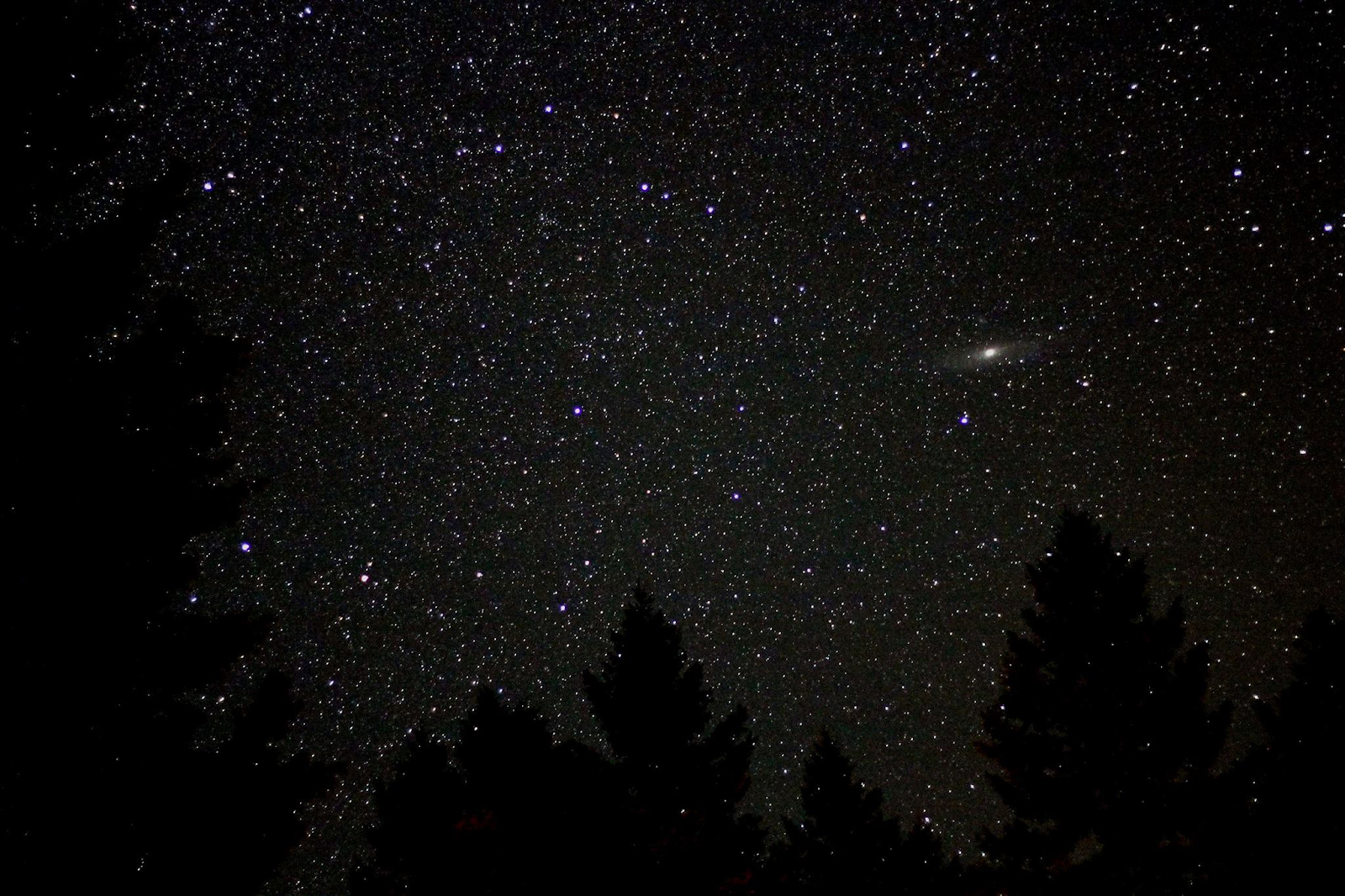 the Andromeda Galaxy in the night sky