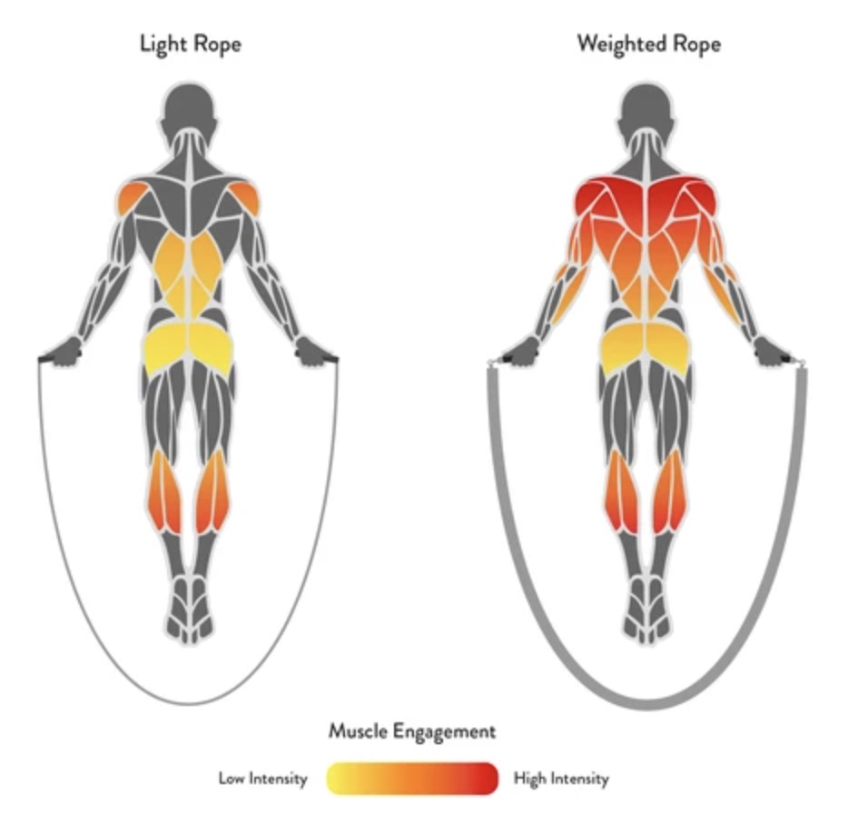 Crossrope Jump Rope Review Must Read This Before Buying