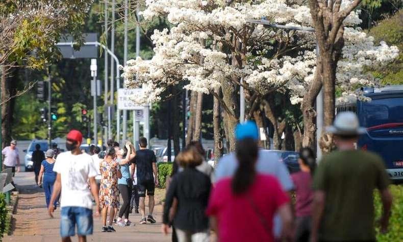 Uso de máscara, higiene das mãos, distanciamento social e vacinação são medidas preventivas a qualquer cepa da COVID-19(foto: Leandro Couri/EM/DA Press)