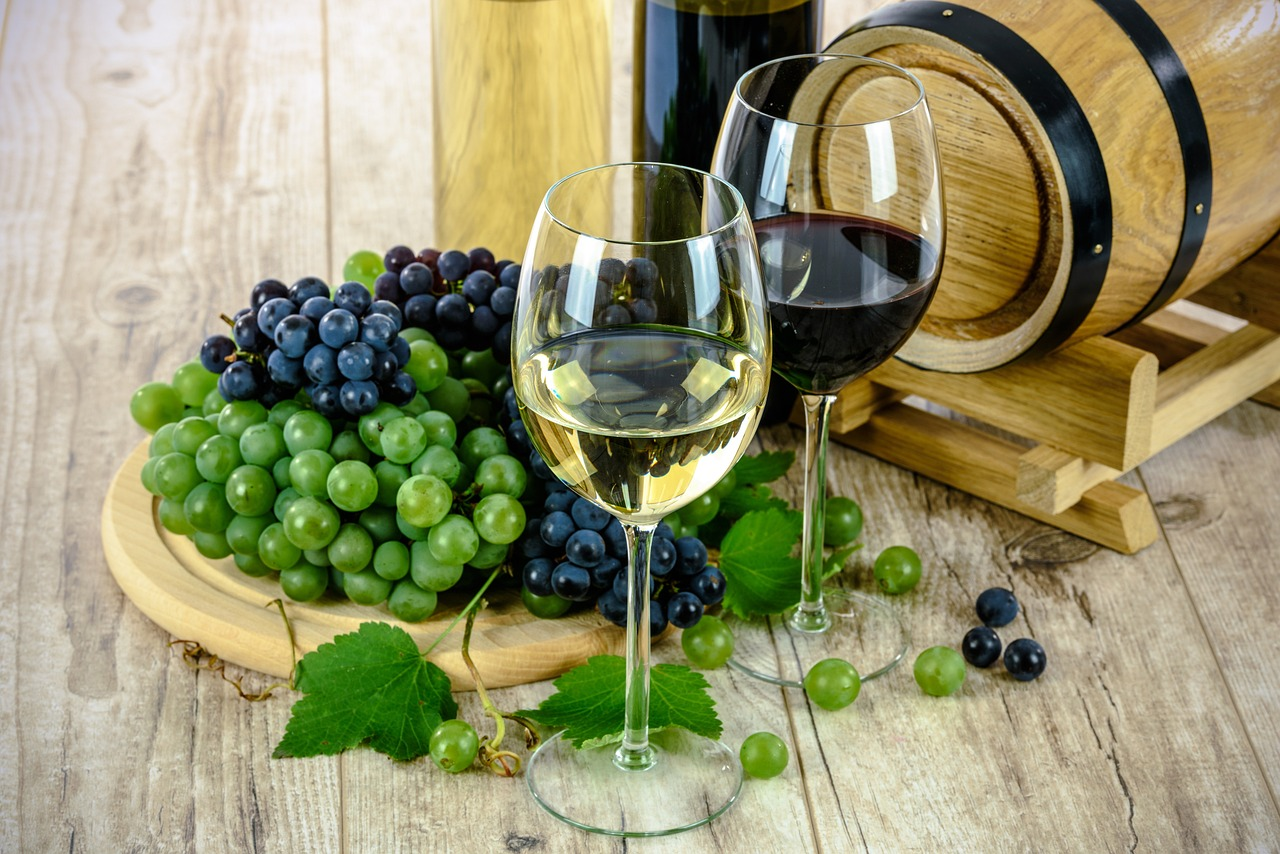, Wine Tasting 101: Unlocking the Secrets of Sensory Appreciation, Days of a Domestic Dad