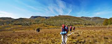 Image result for the bush walk