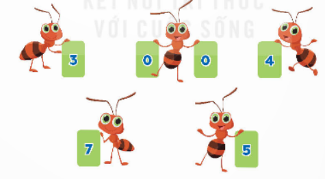 A group of ants with numbers

Description automatically generated