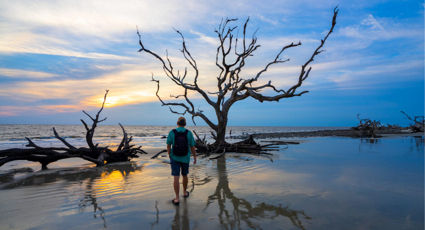 A man is walking on Driftwood Beach in Jekyll Island, Georgia, as the sun sets over the water.