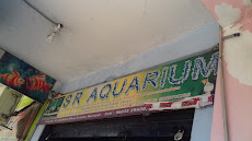 S R Aquarium