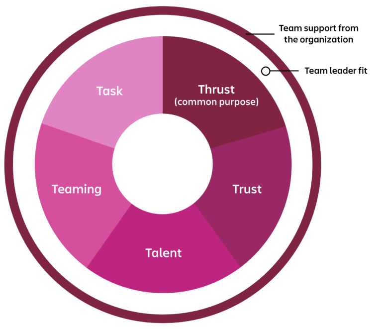 model teamwork T7