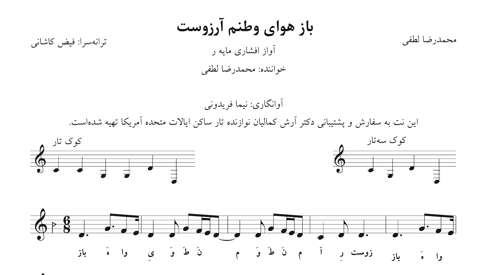 نت باز هوای وطنم آرزوست محمدرضا لطفی آوانگاری نیما فریدونی