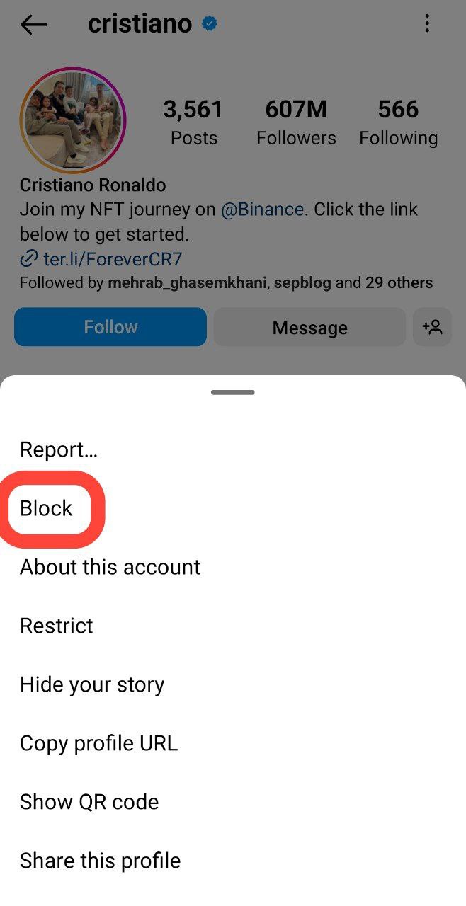 Block Instagram accounts 