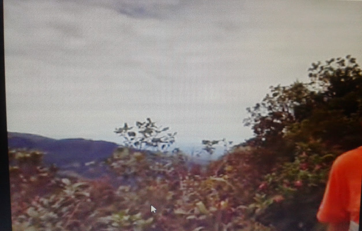 0KnqpPPUa0gtkiROiOYniDhPicgr_ik00OyGWj8SNko=w1256-h802-no