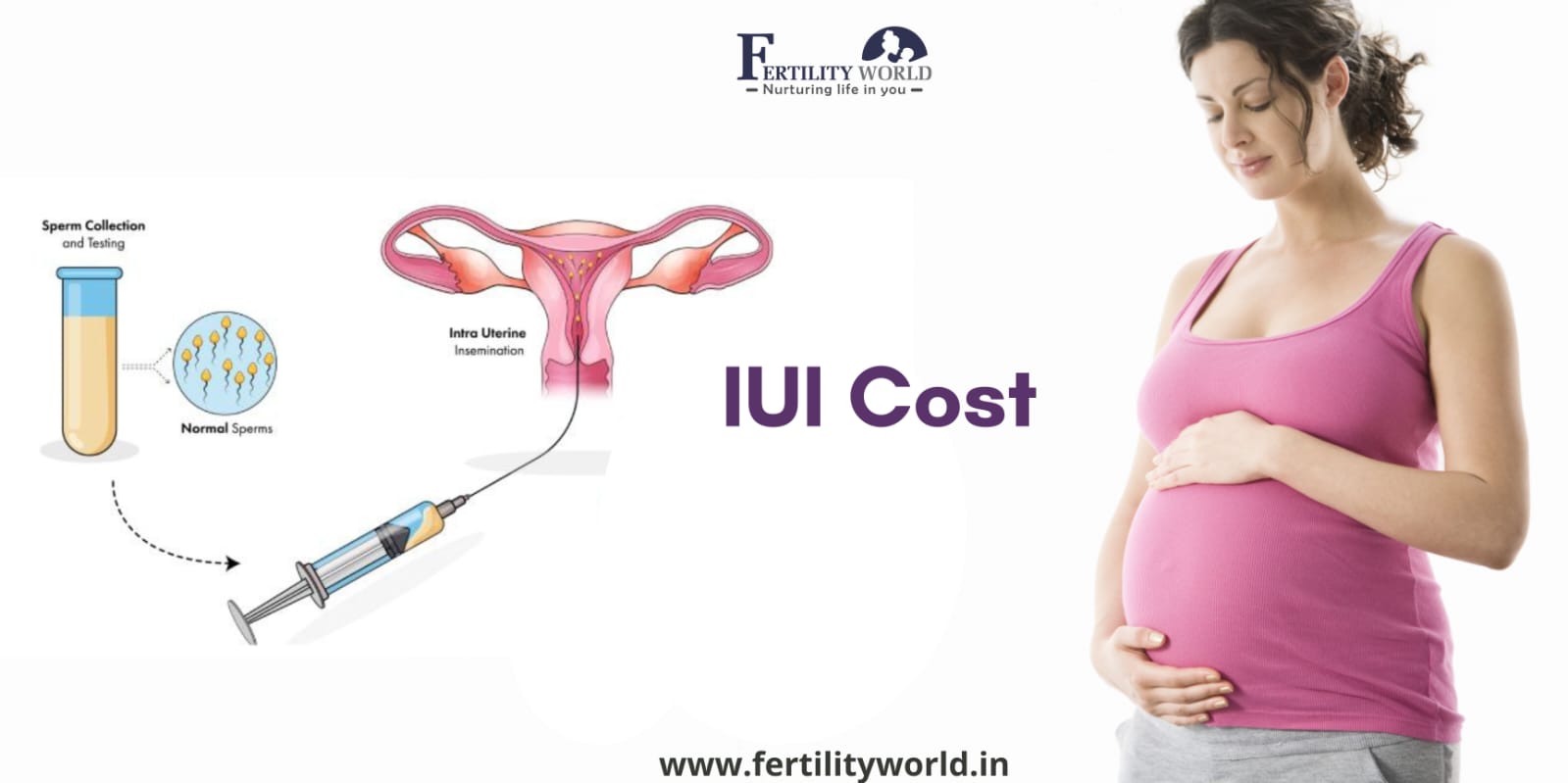 What is the cost of IUI in Ludhiana?