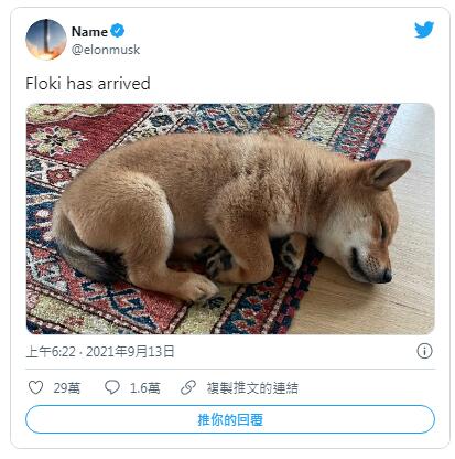新狗狗幣飛天！馬斯克剛養的柴犬讓Shiba Floki最高暴漲5000%|Anson Tang-圖片1