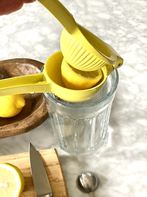 We love the OXO lemon squeezer, but any good model will do