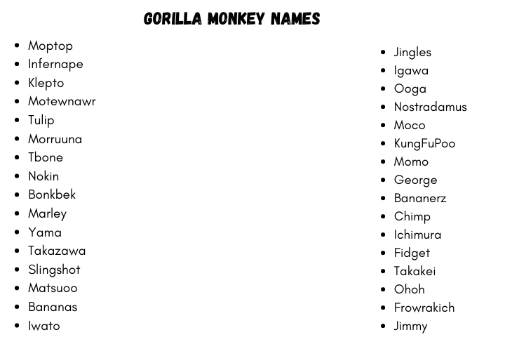 Gorilla Monkey Names
