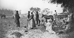 Harriet Tubman Biography -Born into Slavery