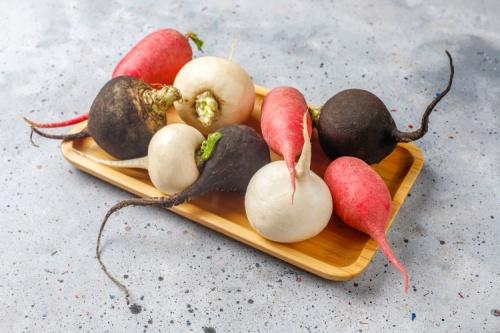 C:\Users\SONY\Desktop\редька\various-fresh-radishes-white-radish-long-pink-radish-and-black-radish.jpg