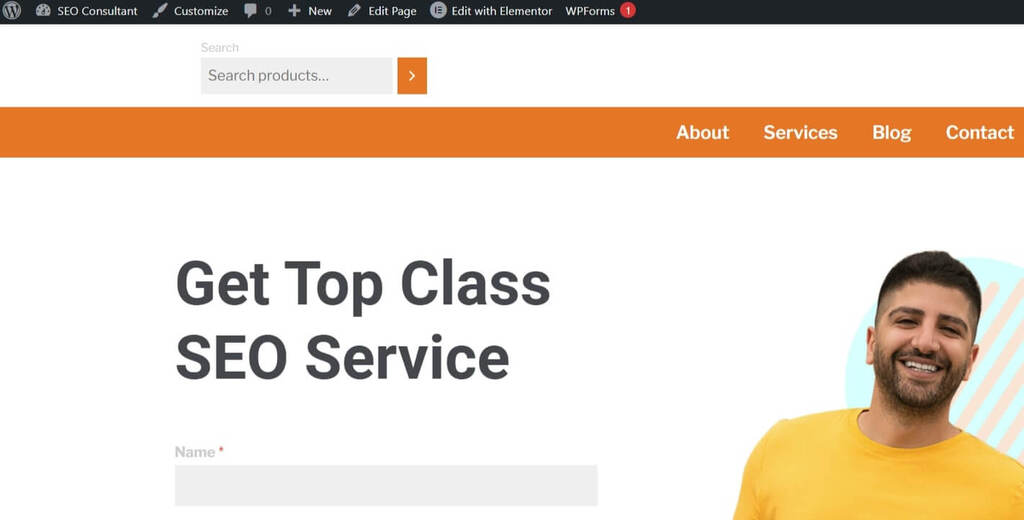 SEO Expert Site