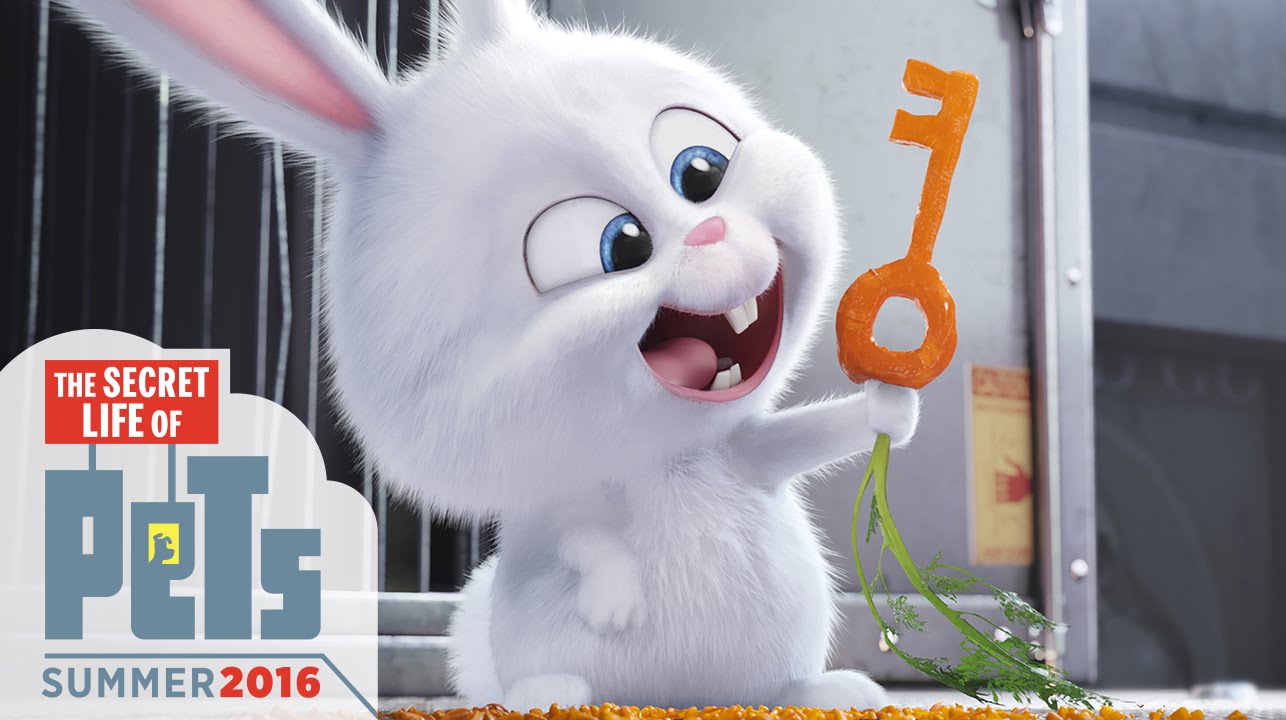 Image result for secret life of pets