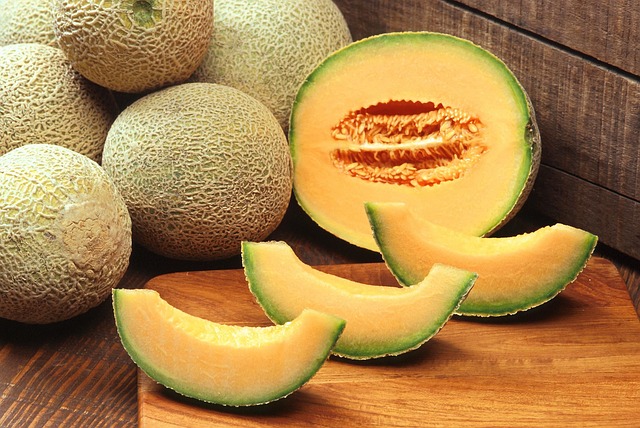 muskmelon scientific name