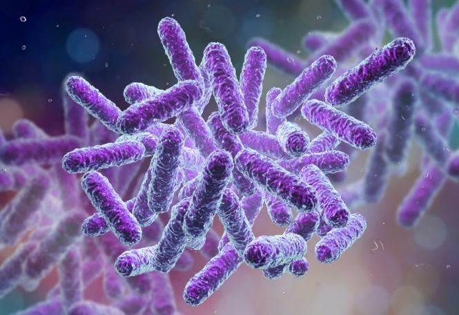 Cientistas identificam bactérias em meia hora » Panorama Farmacêutico