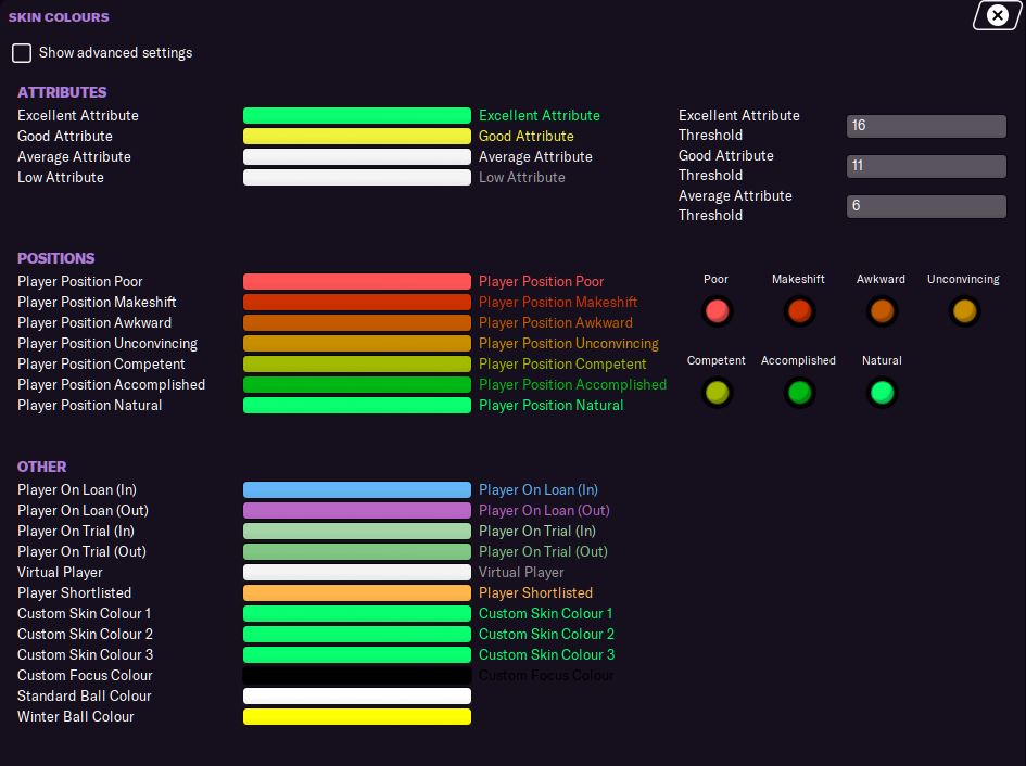 Football Manager 2021 skin customization options