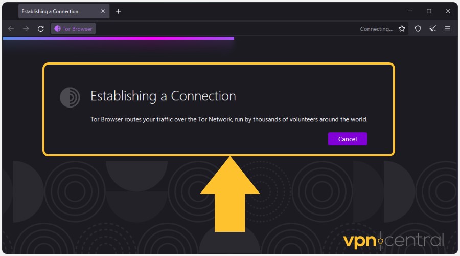 tor browser establishing connection