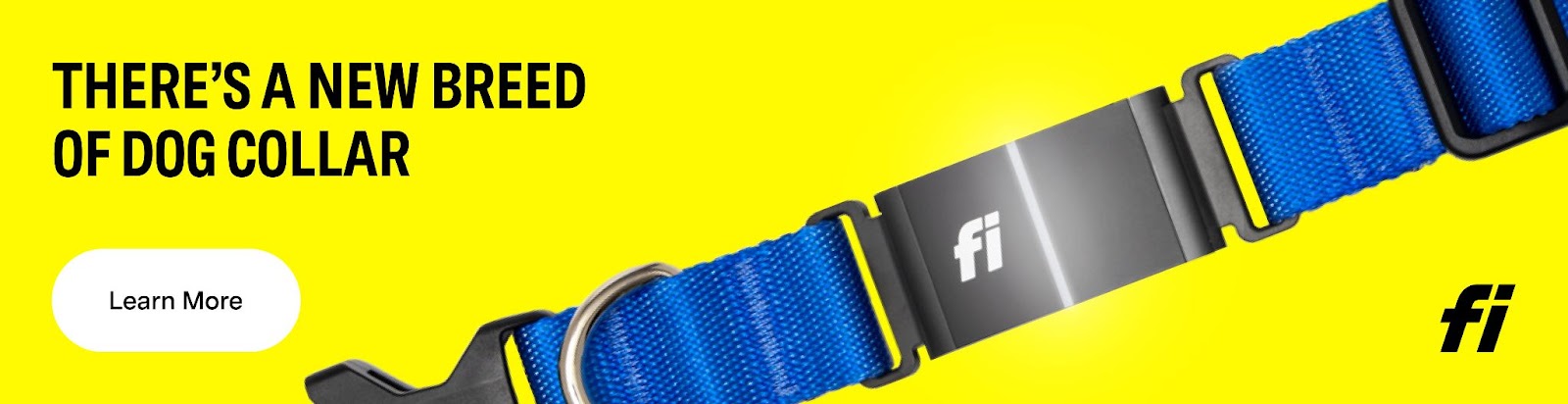 Fi Dog Collar for Hiking Dogs