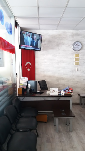 Gerçek Otomotiv