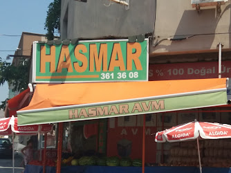 HASMAR AVM