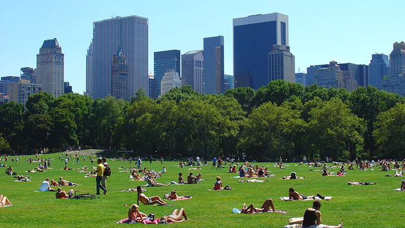 Several people are relaxing on a sunny day on green grass with the NY skyline in the background.