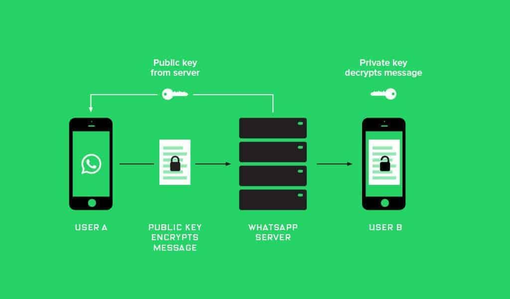 What changes with the release of the WhatsApp Business API