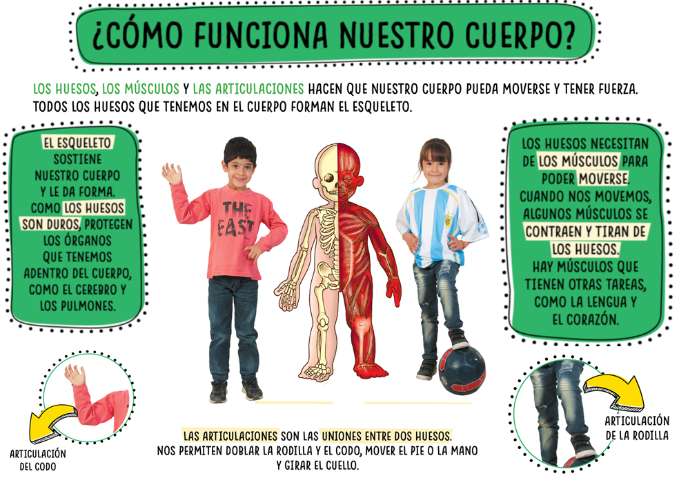 2do B Primaria IWCM ACTIVIDADES DE LA SEMANA DEL 10 AL 14