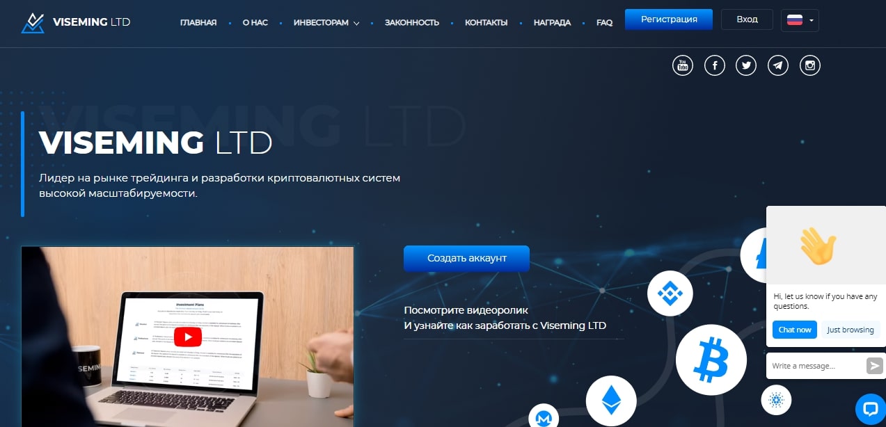 Viseming: отзывы об инвестиционном проекте. Выгодно сотрудничать или нет?