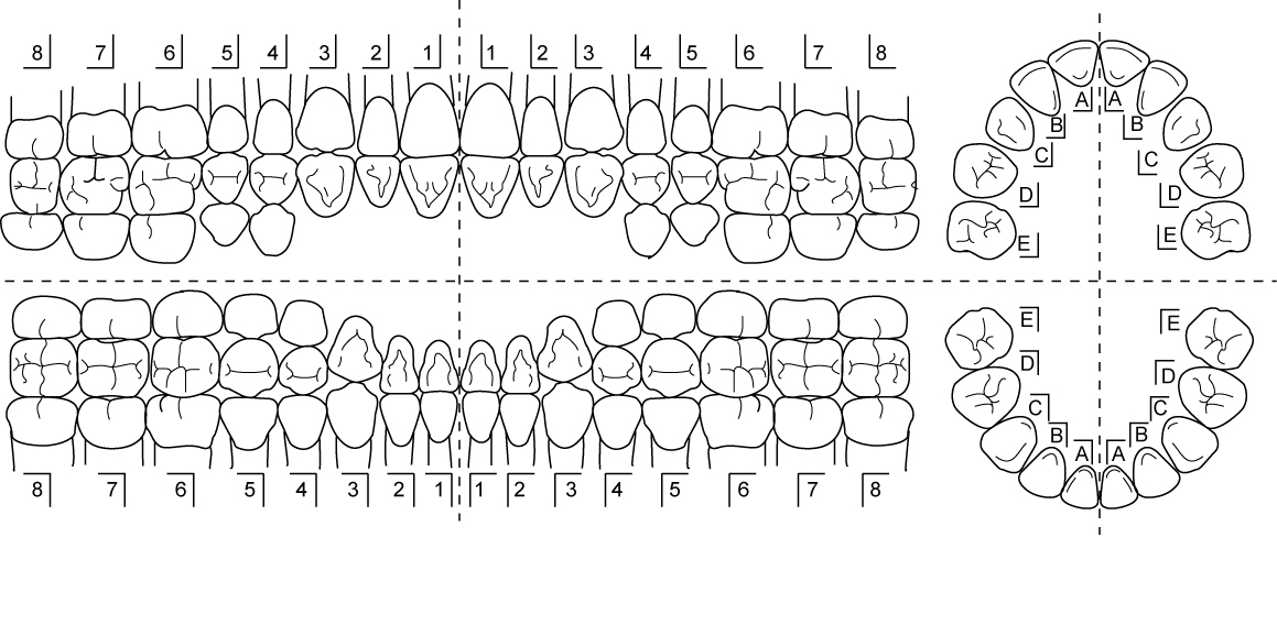 ODTP 101 - Austin Dental Careers