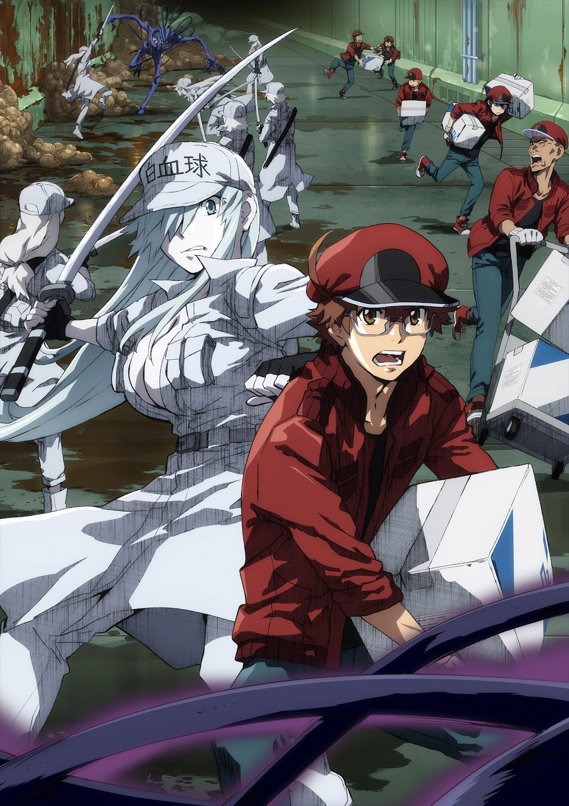 Cells At Work! Review | Pinnedupink.com