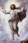 the-transfiguration-detail-1520