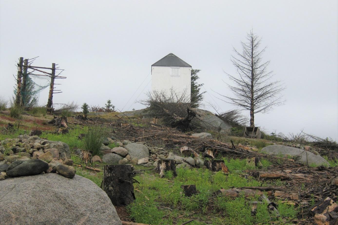 C:\Users\alf2811\Desktop\Ny november 17\Loshavn Fortidsvern\Færøytårnet\Færøytårnet idag.jpg