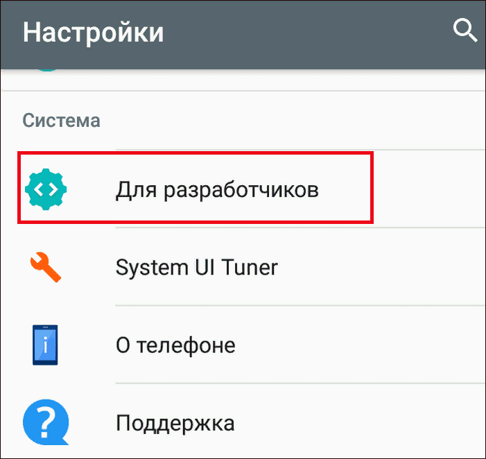 открываем пункт для разработчиков