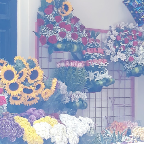 Florería El Girasol - Quito