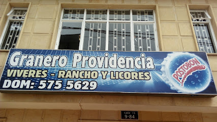 Granero Providencia Viveres Rancho y Licores