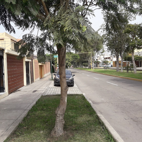 OPTION LIFE - Santiago de Surco