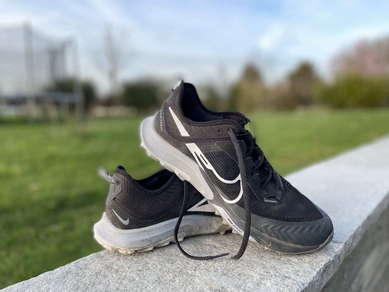 Road Trail Run: Nike Air Zoom Terra Kiger 8 Review: A firm, responsive  do-it-all trail runner