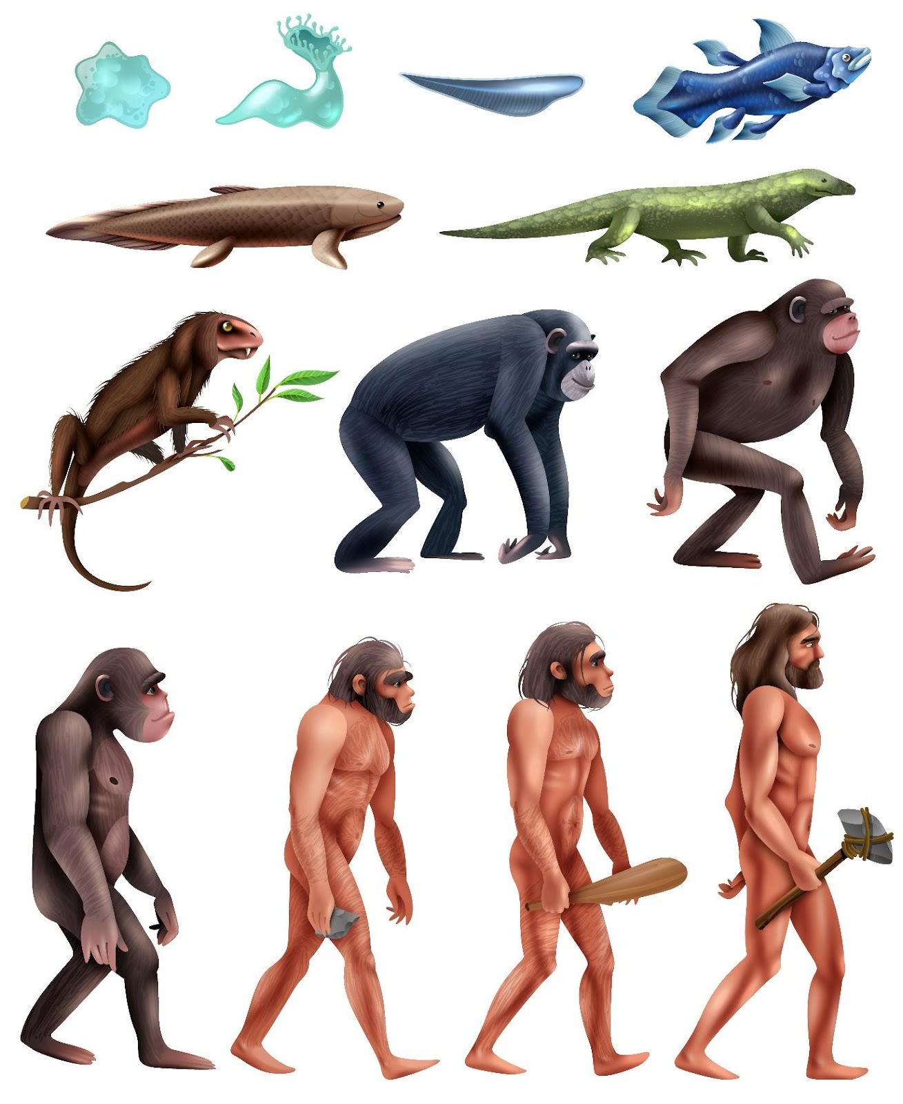 Evolution