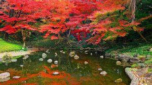 https://liburankejepang.com/wp-content/uploads/2020/06/Koishikawa-Korakuen-Garden-image-credit-by-wikimedia.org_-300x169.jpg