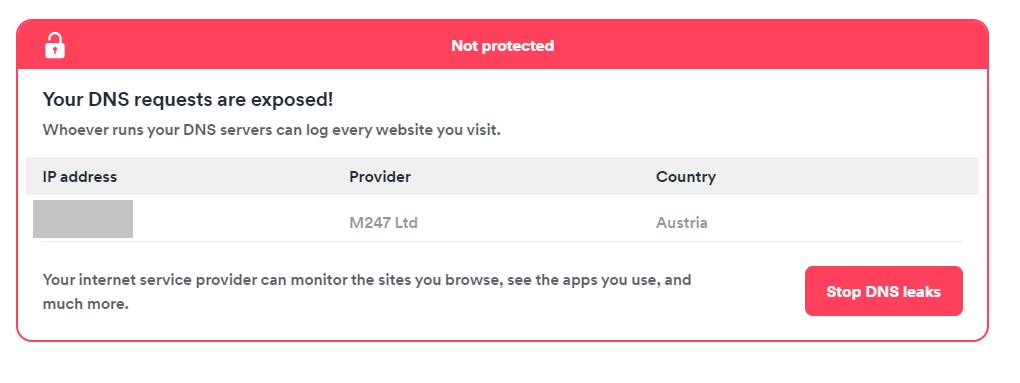 DNS test showing DNS leak