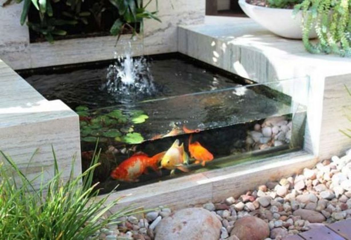 Kolam Koi Minimalis