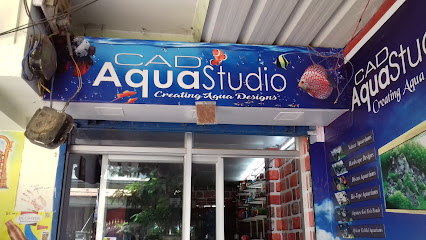Cad Aquatics - Creating Aqua Designs - Aquarium shop in Nellore , India