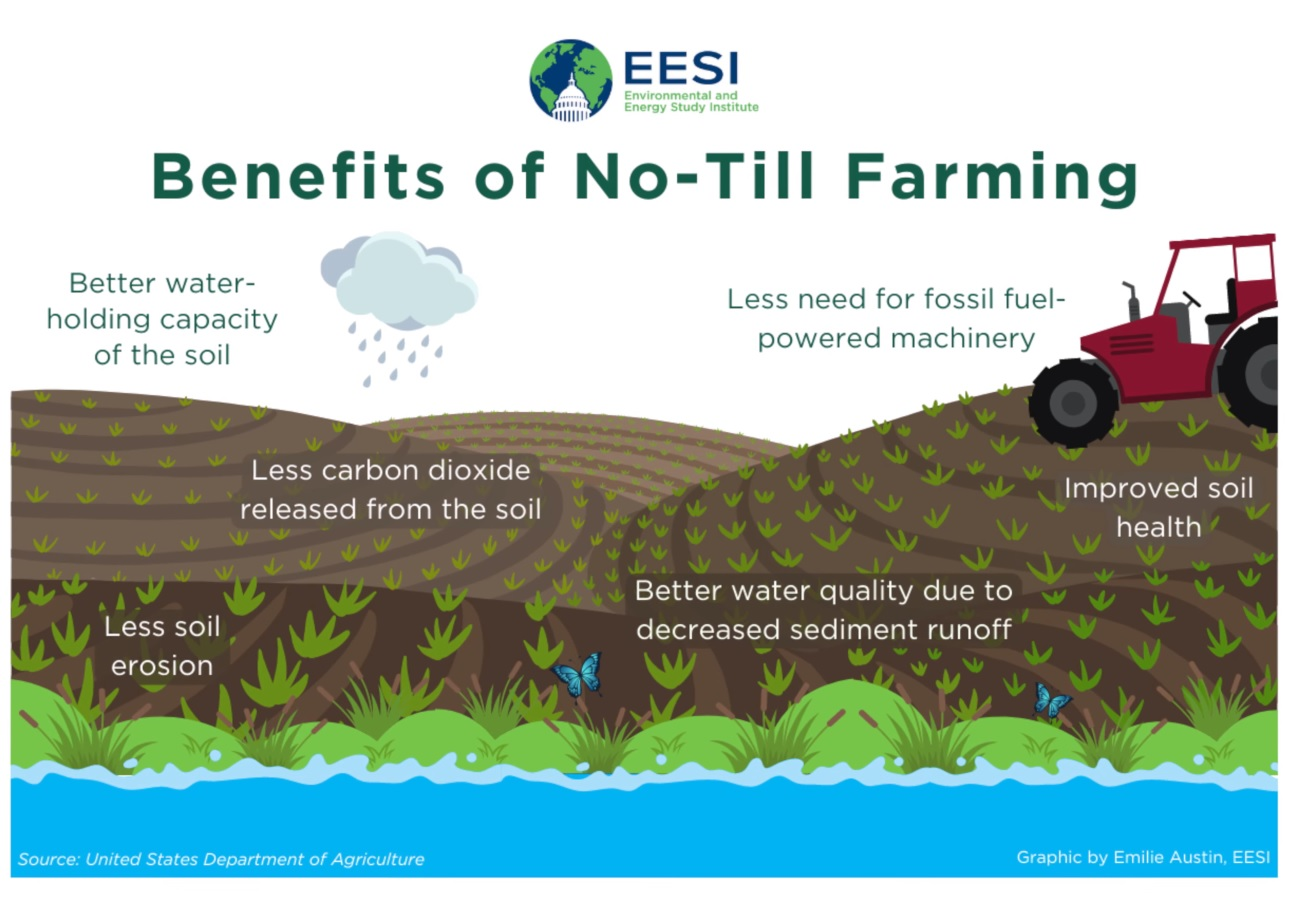 Vorteile des No-Till Farmings