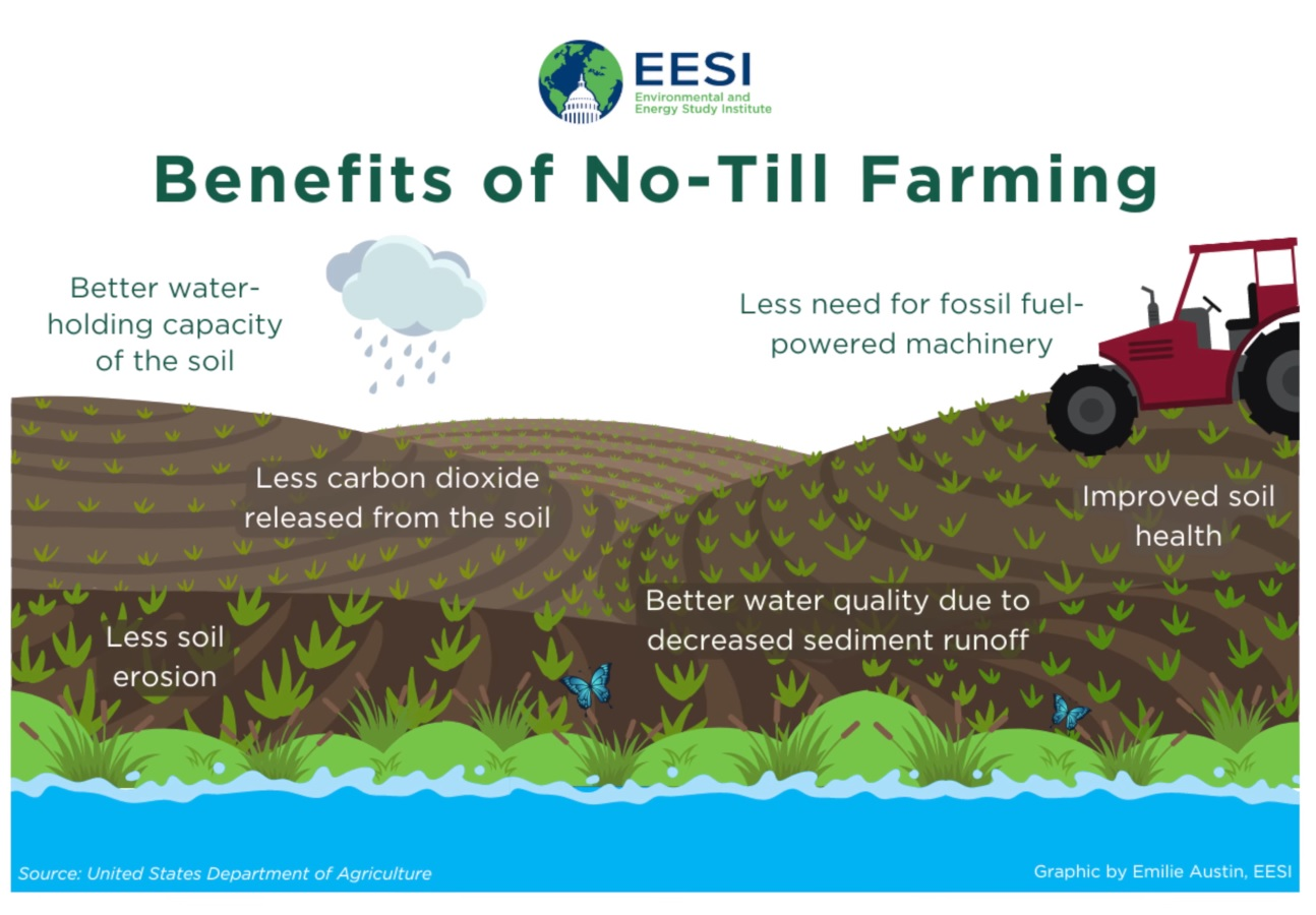Advantages of no-till farming